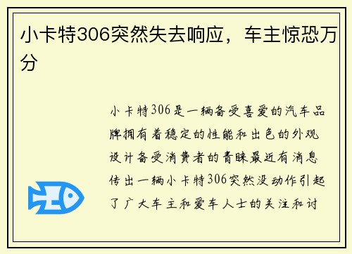 小卡特306突然失去响应，车主惊恐万分