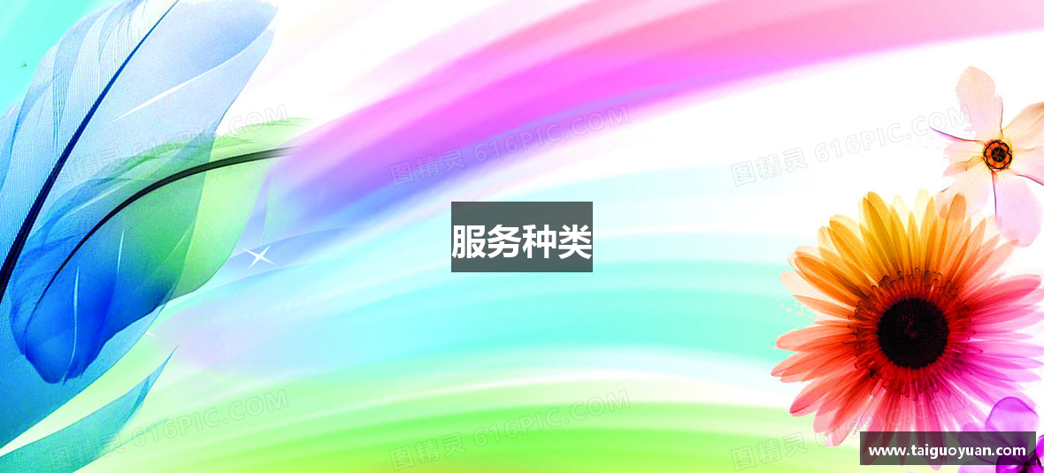 服务种类